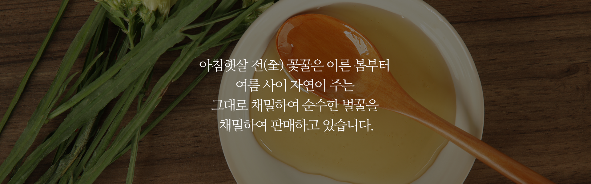 아침햇살 벌꿀